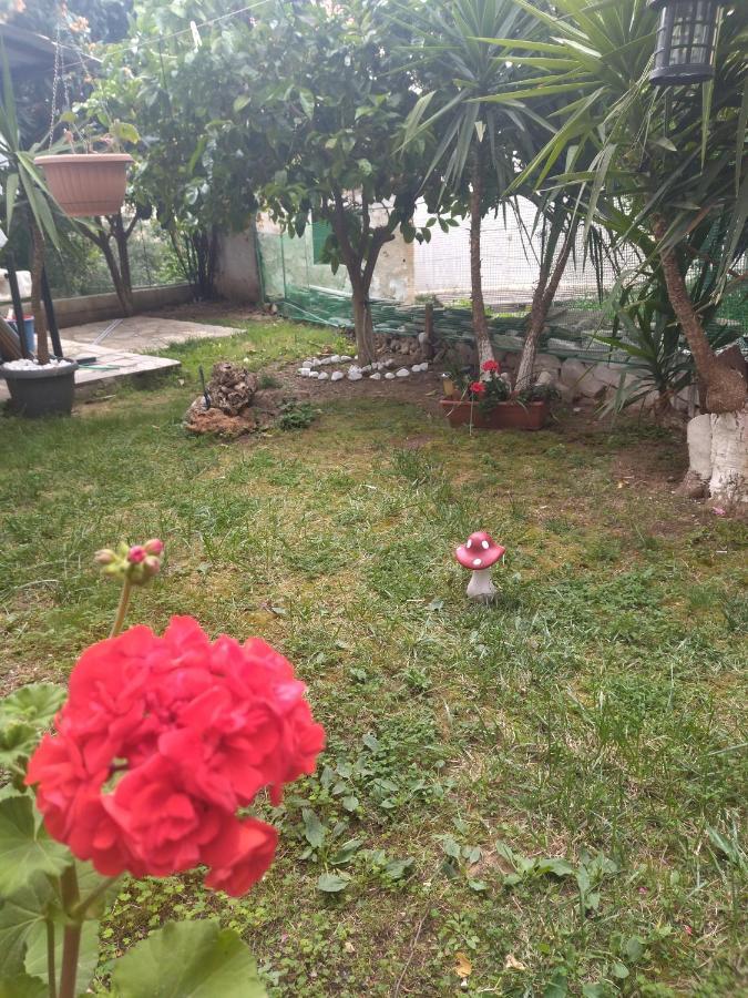Sofis Garden Hotel Kavála ห้อง รูปภาพ